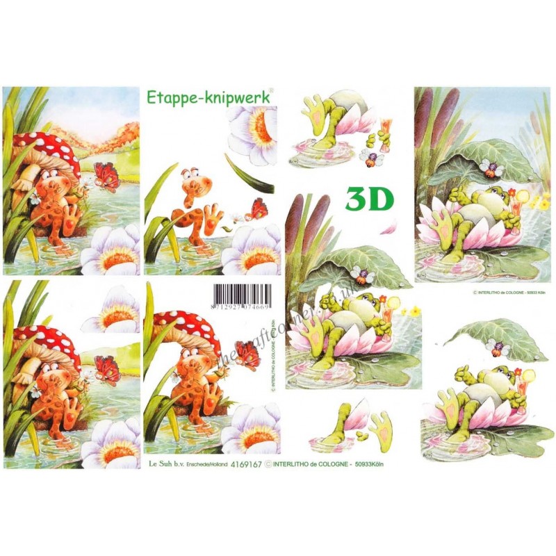 Carterie 3D A4 - Grenouilles