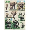 Carterie 3D A4 - Eléphants et pandas