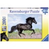 Ravensburger - Puzzle 200 pièces XXL - Etalon noir