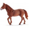 Schleich - 13870 - Horse Club - Jument Morgan