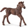 Schleich - 13857 - Horse Club - Poulain Pur-Sang Anglais