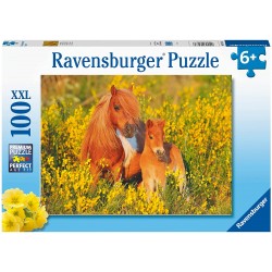 Ravensburger - Puzzle 100 pièces XXL - Poneys Shetland