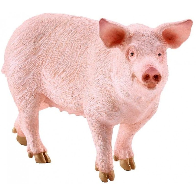 Schleich - 13782 - Farm World - Cochon