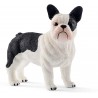 Schleich - 13877 - Farm World - Bouledogue français