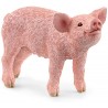 Schleich - 13934 - Farm World - Porcelet