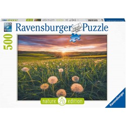 Ravensburger - Puzzle 500 pièces - Pissenlits au crépuscule