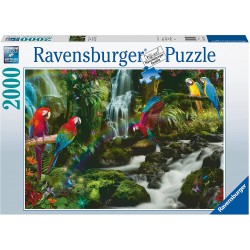 Ravensburger - Puzzle 2000 pièces - Le paradis des perroquets
