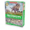 Kit Paléo : Triceratops