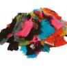 OZ - Loisirs créatifs - Plumes - Blister 150 plumes de dinde 15 cm 25 g - couleurs assorties