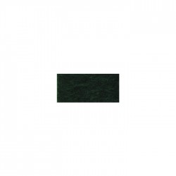 Rayher - Coupon de feutrine - Vert clair - 20x30 cm