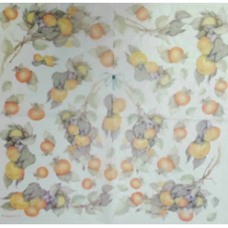 Papier de riz - Motif fruits - 50x50cm