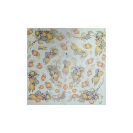 Papier de riz - Motif fruits - 50x50cm