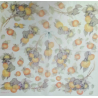 Papier de riz - Motif fruits - 50x50cm
