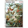 Piatnik - Puzzle - 1000 pièces - Oies en vol