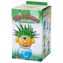 Kim Play - Tête à pousser...