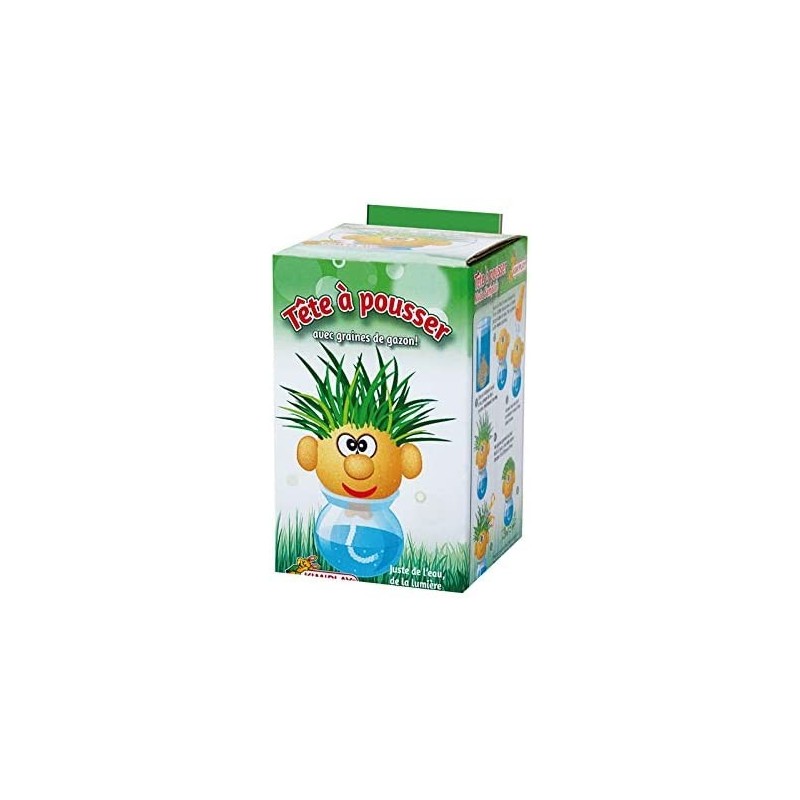 Kim Play - Tête à pousser avec graine de gazon