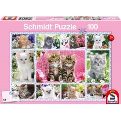 Schmidt - Puzzle 100 pièces...