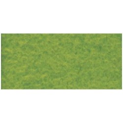 Rayher - Coupon de feutrine - Vert - 20x30 cm