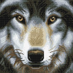 OZ - Loisirs créatifs - Crystal Art - Kit tableau broderie diamant 30x30cm Loup