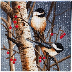 OZ - Loisirs créatifs - Crystal Art - Kit tableau broderie diamant 30x30cm Oiseaux