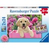 Ravensburger - Puzzles 2x24 pièces - Amis tout doux