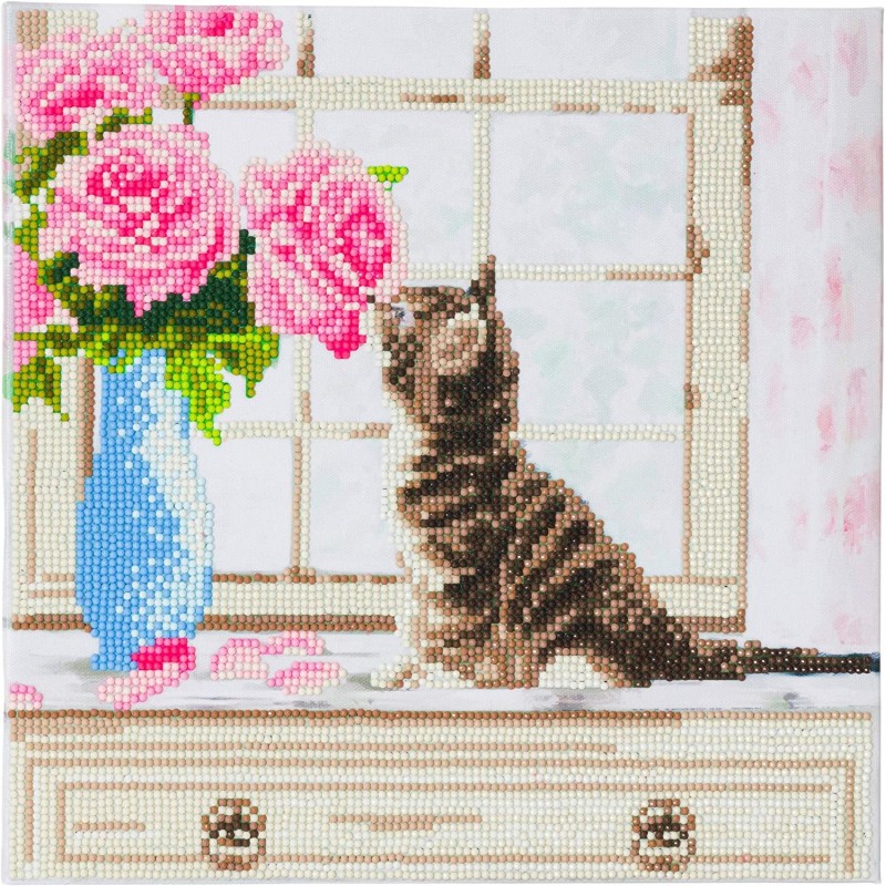 OZ - Loisirs créatifs - Crystal Art - Kit tableau broderie diamant 30x30cm Chaton