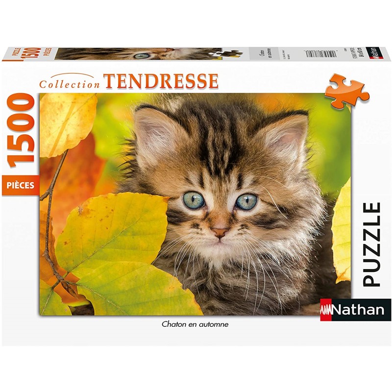 Nathan - Puzzle 1500 pièces - Chaton en automne