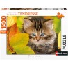 Nathan - Puzzle 1500 pièces - Chaton en automne