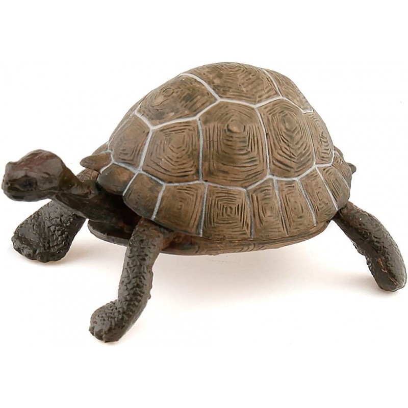 Papo - Figurine - 50013 - La vie sauvage - Tortue