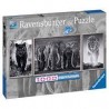 Ravensburger - Puzzle 1000 pièces - Panthère, éléphant, lion