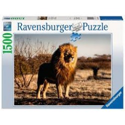 Ravensburger - Puzzle 1500 pièces - Le lion, le roi des animaux