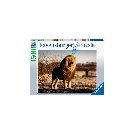 Ravensburger - Puzzle 1500 pièces - Le lion, le roi des animaux