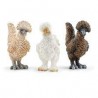 Schleich - 42574 - Farm World - Trio de poules