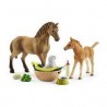 Schleich - 42432 - Horse Club - Les soins pour bébé animaux d'Horse Club Sarah