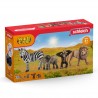 Schleich - 42387 - Coffret - Kit de base Wild Life avec 4 animaux sauvages