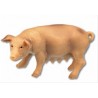 Bully - Figurine - 62311 - Truie