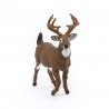 Papo - Figurine - 53021 - La vie sauvage - Cerf de Virginie