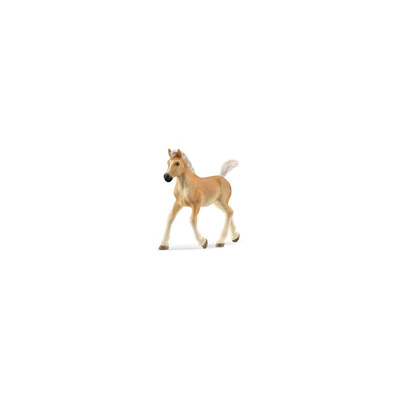 Schleich - 13951 - Horse Club - Poulain haflinger