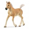 Schleich - 13951 - Horse Club - Poulain haflinger