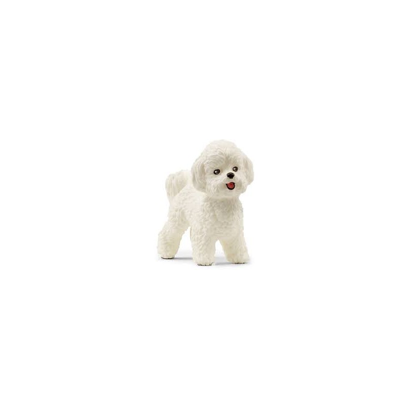 Schleich - 13963 - Farm world - Bichon frisé