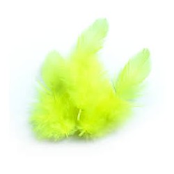 PLUMES JAUNE
