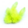 PLUMES JAUNE