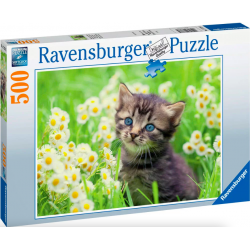 Ravensburger - Puzzle 500 pièces - Chaton dans la prairie