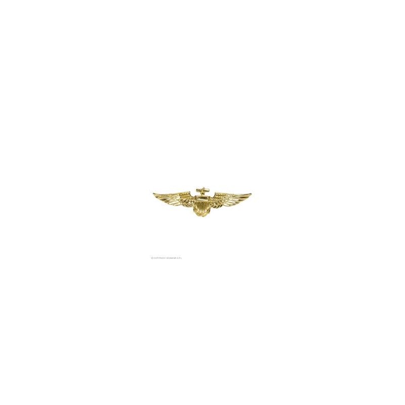 Déguisement - Badge de pilote d'aviation doré