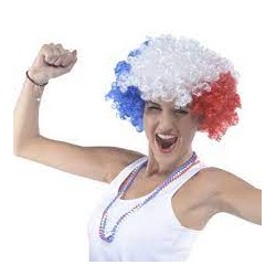 Supporter France - Perruque Afro tricolore - Adulte