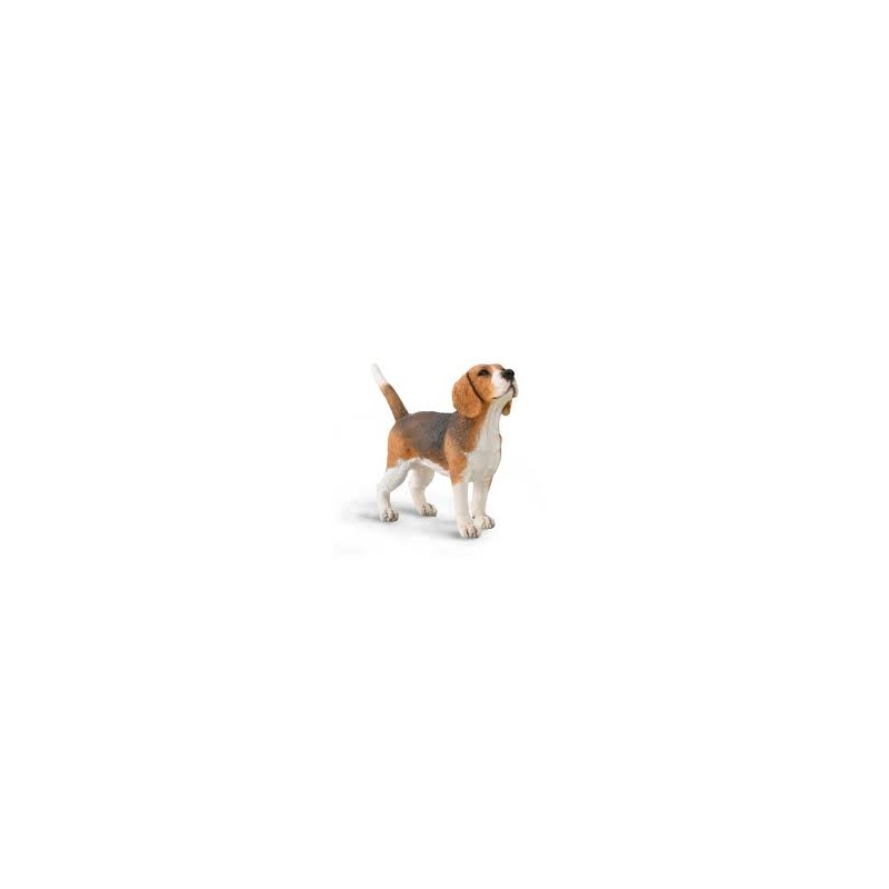 DAM - Figurine de collection - Collecta - Chiens - Beagle