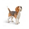 DAM - Figurine de collection - Collecta - Chiens - Beagle