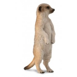 DAM - Figurine de collection - Collecta - Animaux sauvages - Suricate