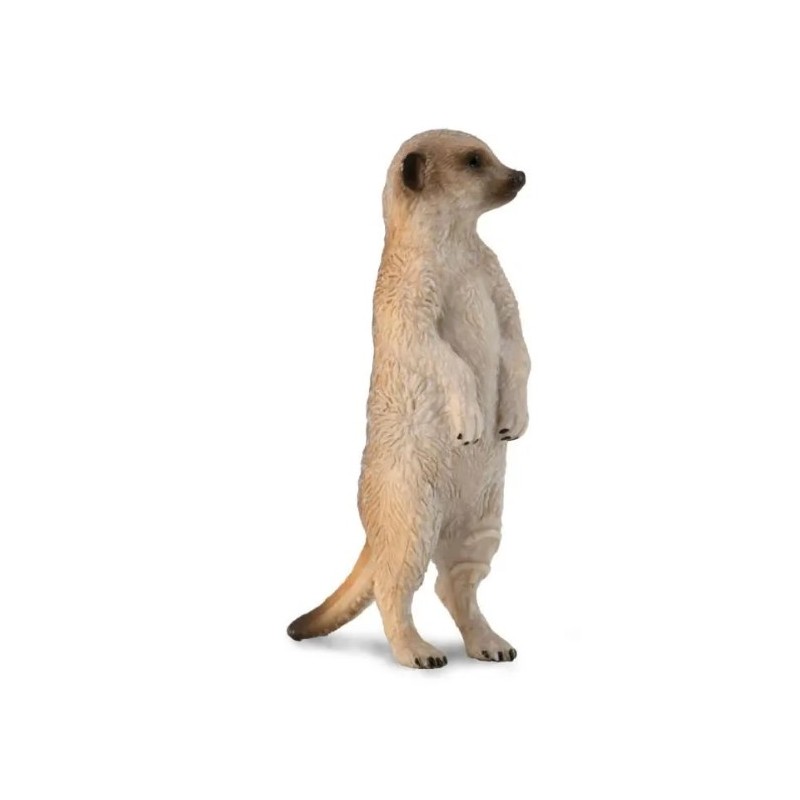 DAM - Figurine de collection - Collecta - Animaux sauvages - Suricate