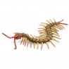 DAM - Figurine de collection - Collecta - Insectes - Mille pattes